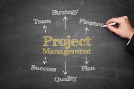 Software Project Consulting